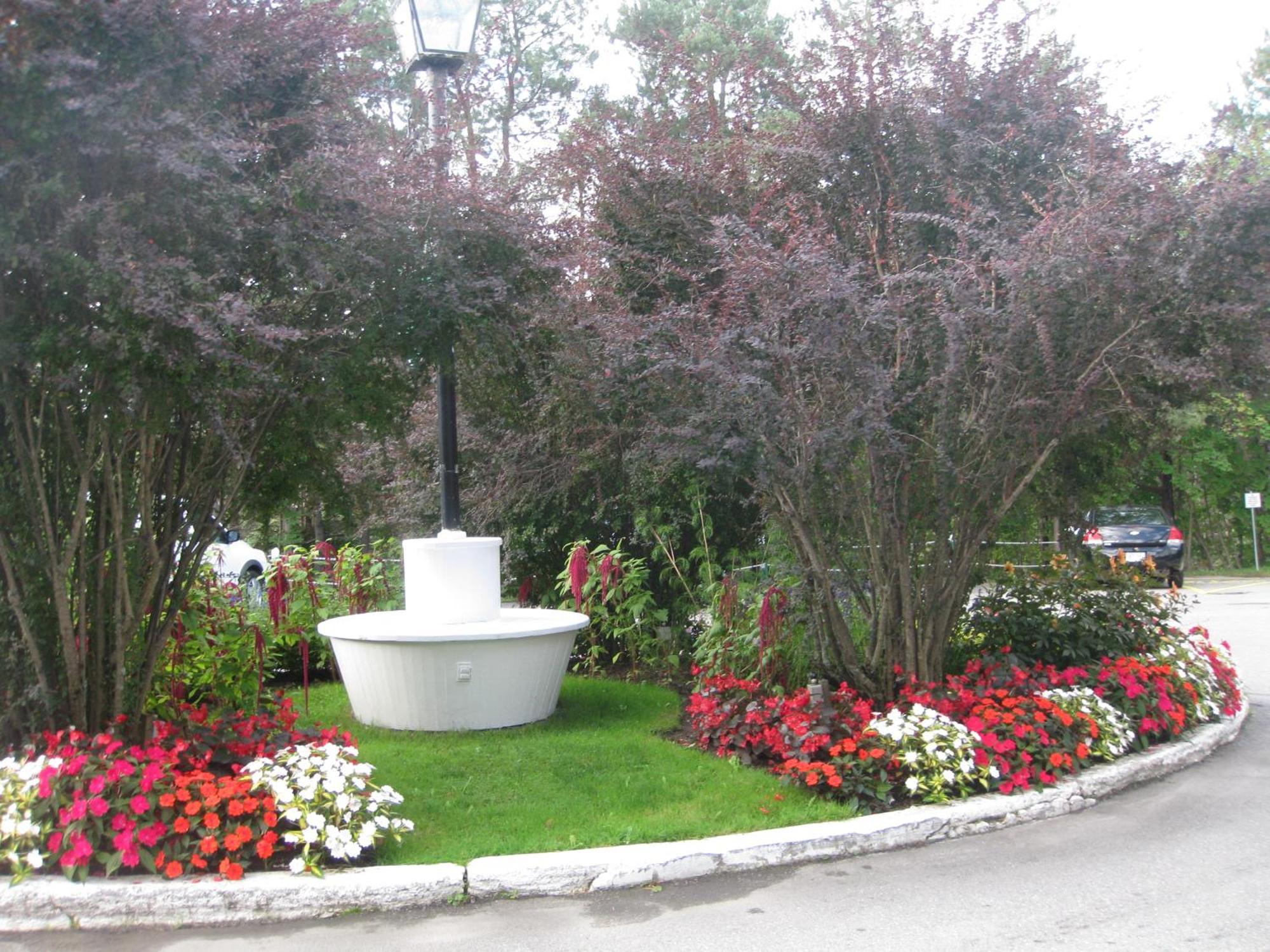 Glynmill Inn Corner Brook Kültér fotó